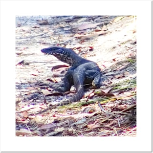 Goanna in the Bush! Posters and Art